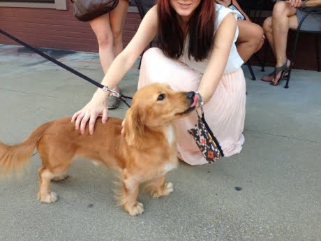 Golden Dox