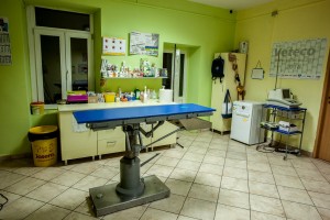 Cabinet Medical Veterinar - Vet Grup