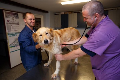 Clinica de Animale Mici