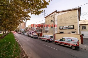 Clinica veterinara Mobile Vet