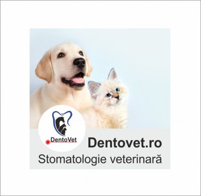 Cabinet veterinar de stomatologie - Dentovet