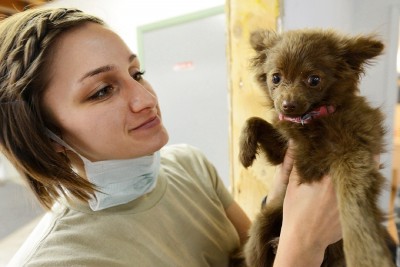 Happy Animals Vet