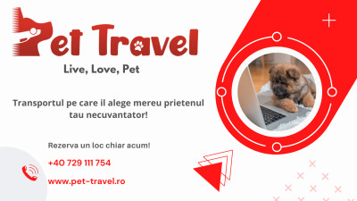 Pet Travel Taxi Animale Constanta