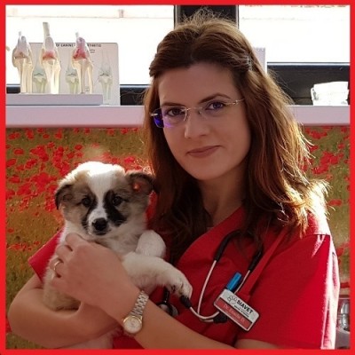 radiologie veterinara SIAVET MEDICAL GALATI